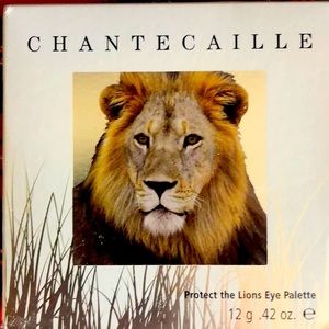 Chantecaille lion eye palette